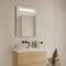 Venice spejl MultiWhite® 600x850 mm